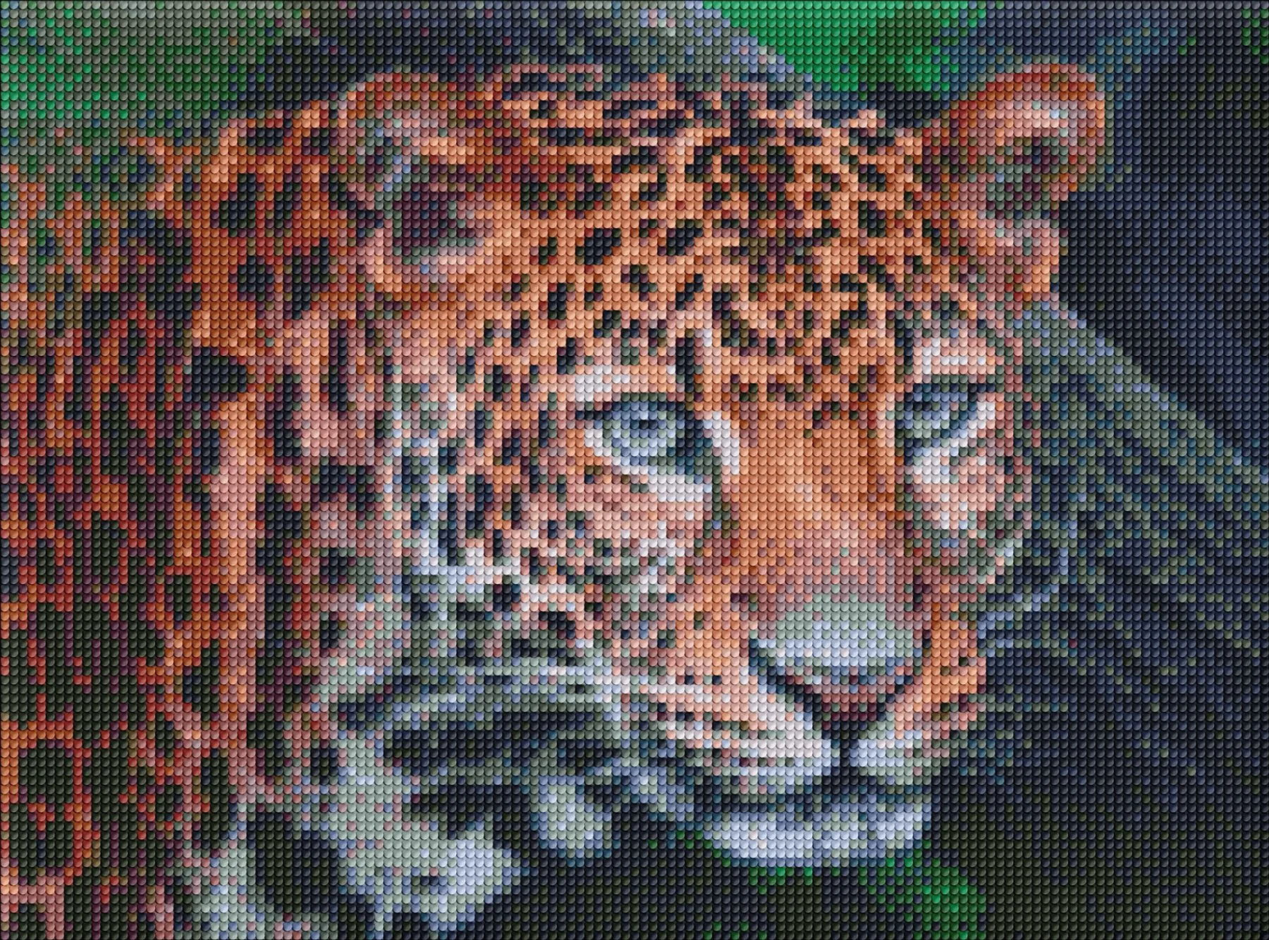 Алмазная мозаика 30х40 см Дикий взгляд (AMO7203)